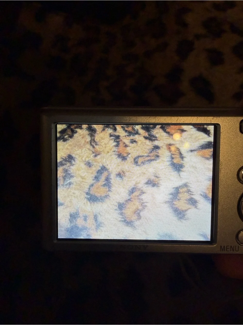 Sony Silver Compact Digital Camera - 20.1MP, 8x Optical Zoom